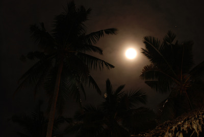 Лунная ночь на Алона-Бич.