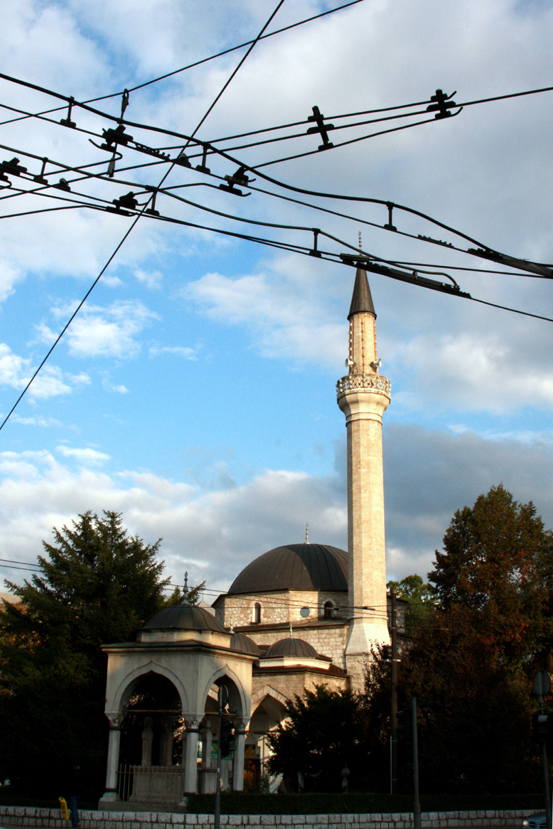 Мечеть Али паши.