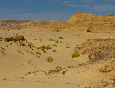 Пустыня Синайского полуострова. Фотография сделана из окна джипа. Мы на обзорной экскурсии! Краски натуральные, так оно там и есть!