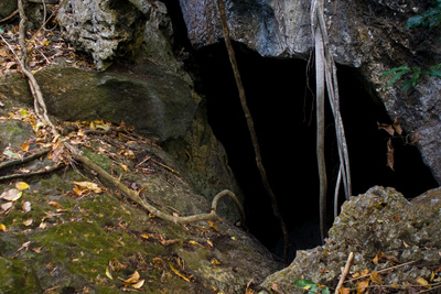 Верхний вход в пещеру Ille Cliff. Вход и выход исключительно по корням :)