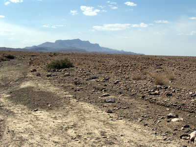 Пустыня недалеко от Захедана.