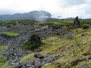 Лавы на плато под вулканом Бакенинг.