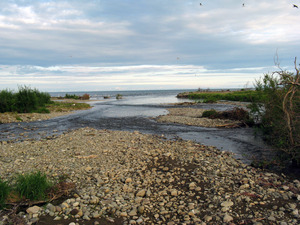 Корякия, устье реки Оссора.