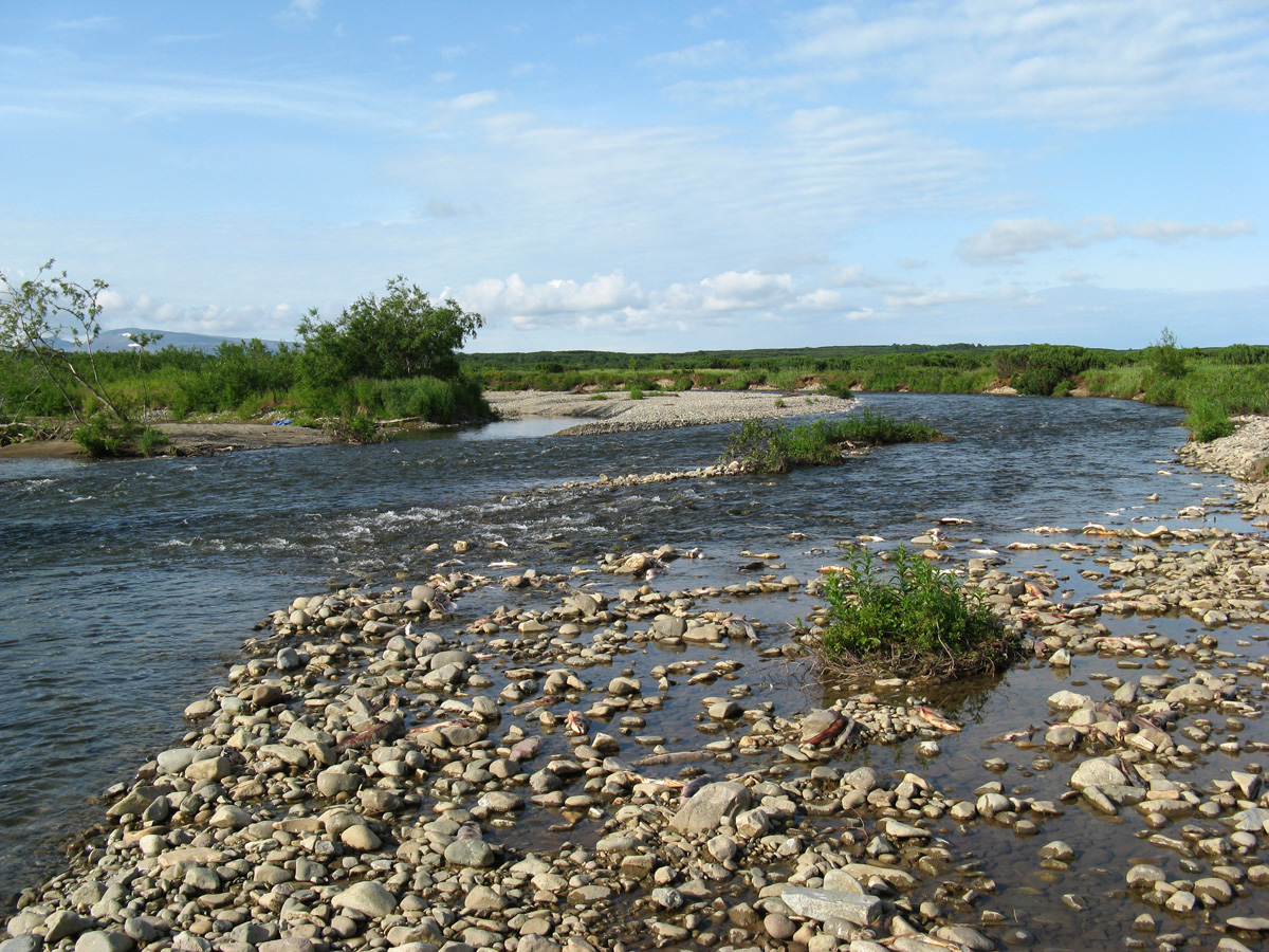 Устье реки Оссора.