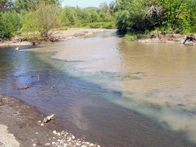 Река, текущая с разработок Платины и чистый приток.