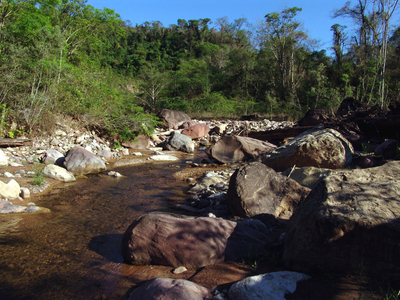 Ручей Aguas Negras в парке Calilegua.