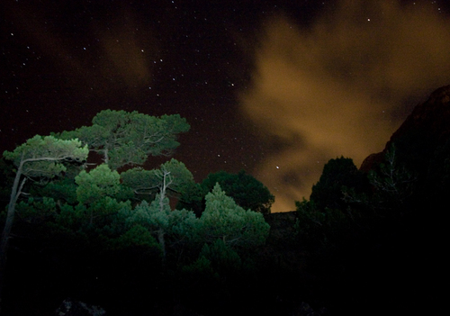 Ночь в Крыму. Фотография сделана на стоянке в лесочке, справа - громада Сокола.