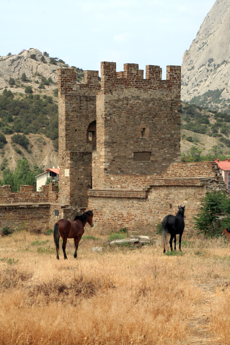 Генуэзская Крепость. Вид изнутри на стену. А еще там живут лошади...
