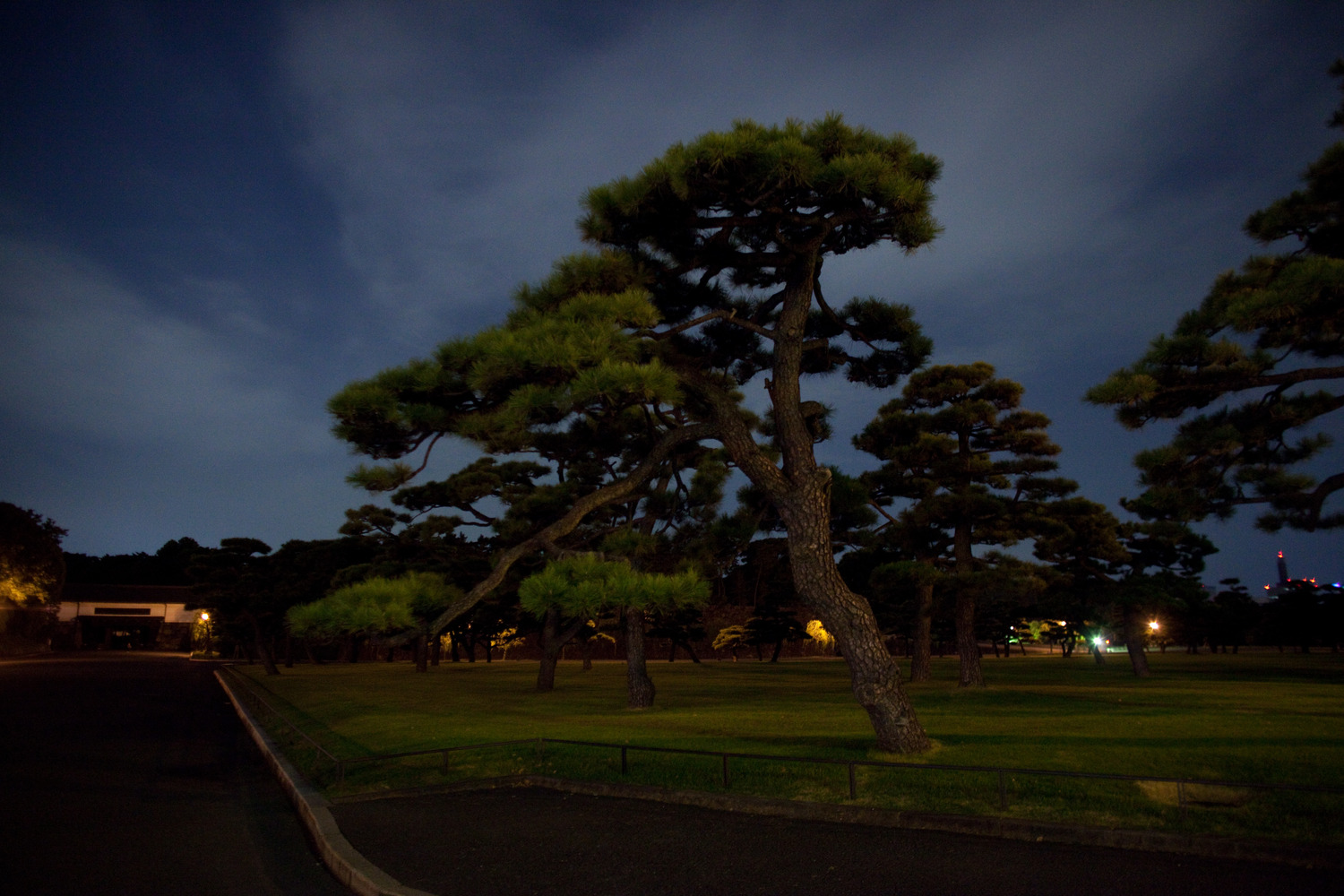 Ночью в центральном парке Токио.